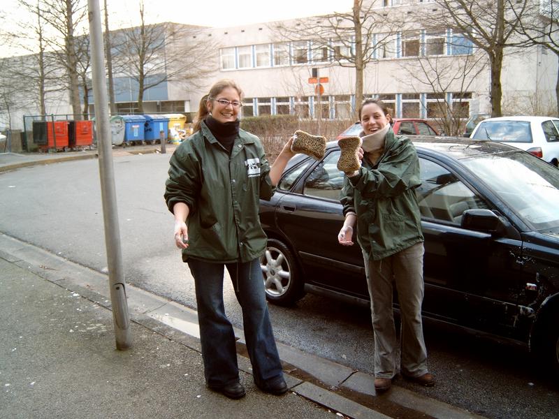 20040307 Ontgroening Autoafwas11