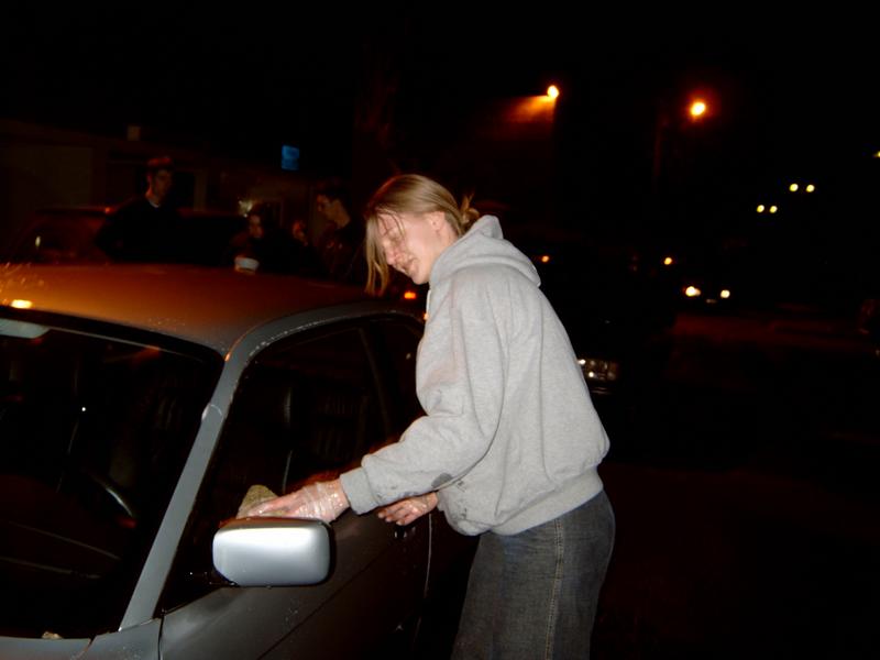 20040307 Ontgroening Autoafwas40
