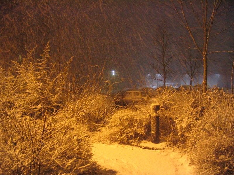 20060228 Bollekes-TD 02