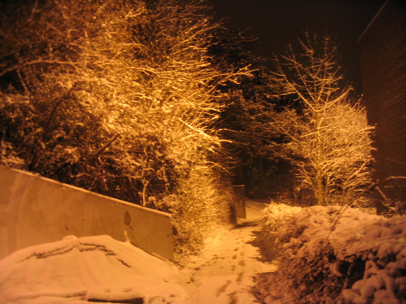 20060228 Bollekes-TD 79