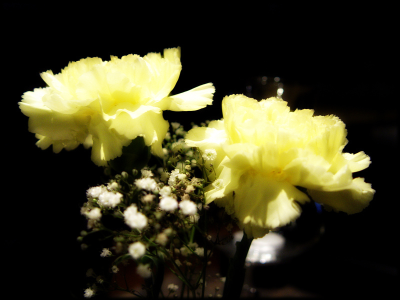 20070421 Galabal Locatie 6963